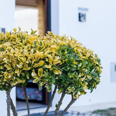 Apartamento Crastos Porches (Algarve)